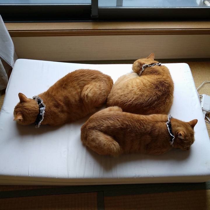 03bf40ea 2776 4aae bbec 72f4407f1112 1616391093687