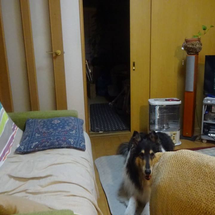 03bf462b 2069 46cb b6d3 2f7abba08d1f 1591270865728