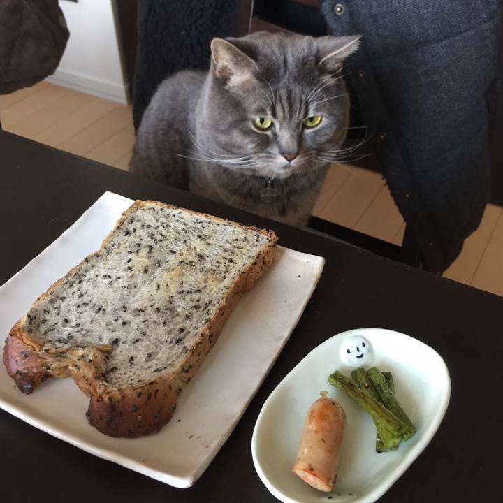 03bf789d d275 408a a37b a94003ddb6f5 1524109216347