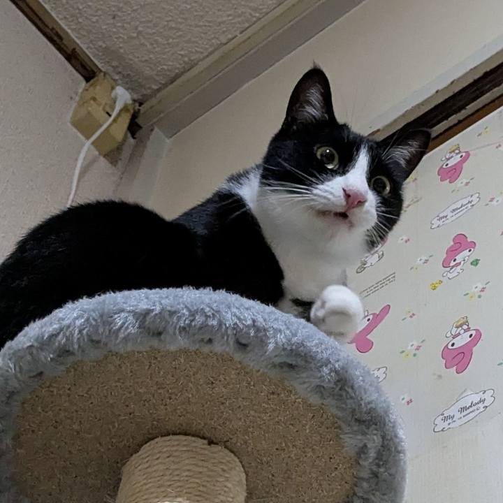 03bf7a9f 2e27 405e bc48 43e911f272d6 1756658358991