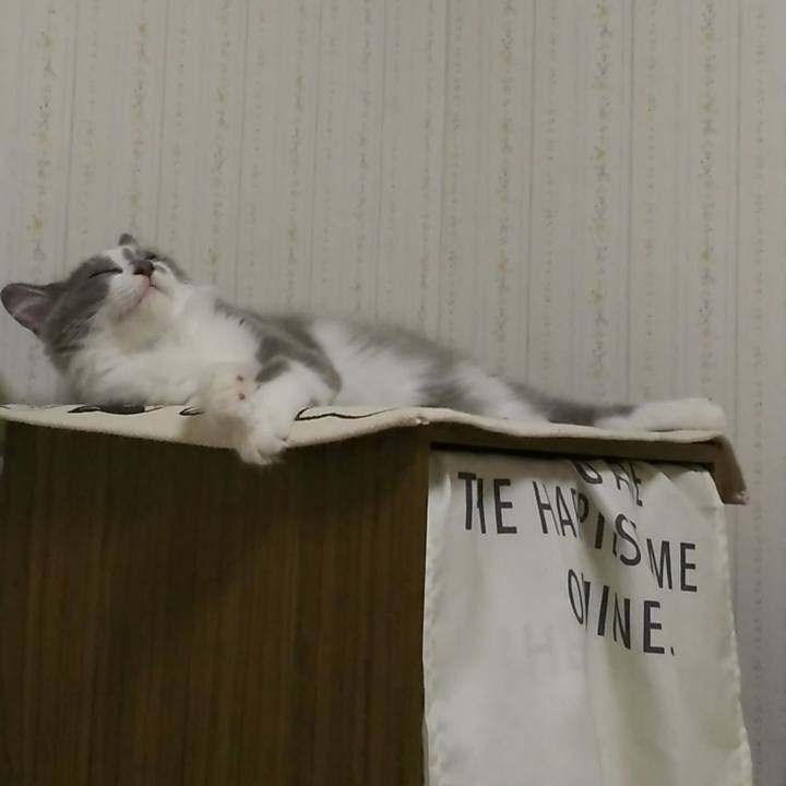 03bf867d ab87 4401 80df 603c96275989 1565911612154