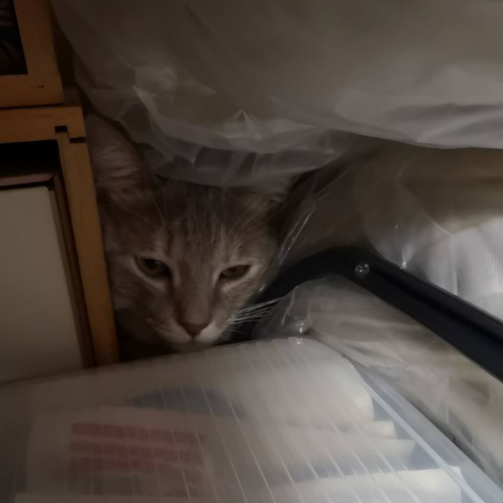 03bfde7d b92b 42e6 863e 8773297dc842 1568986339830