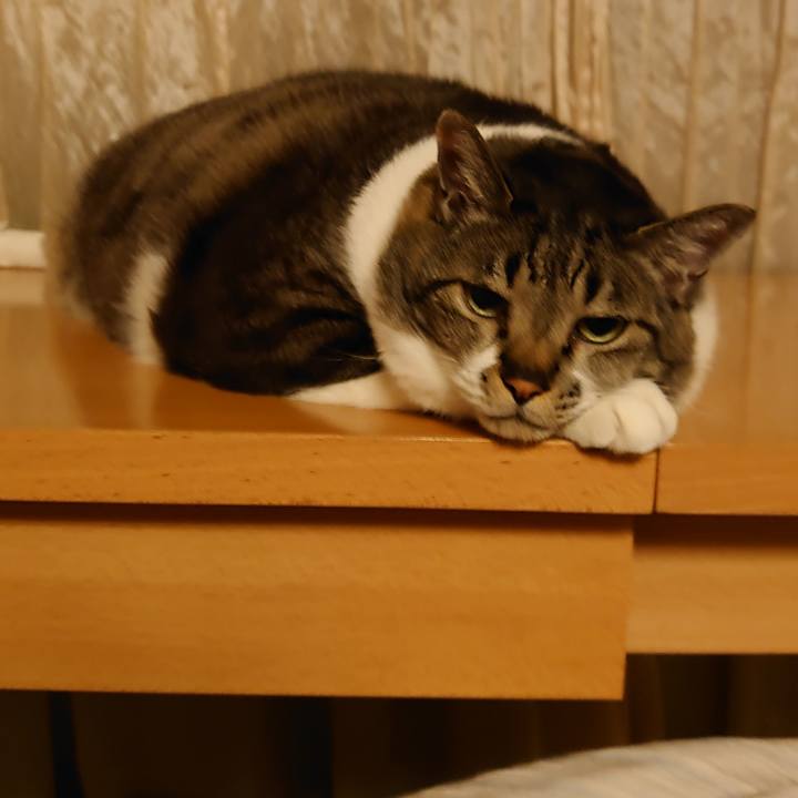 03bff57c ab49 4845 9dc0 72740ac04a4c 1655887872820