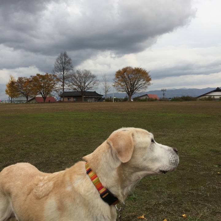 03c021fe 494c 43d9 aa0f 44cb9ff5aa32 1542784252857