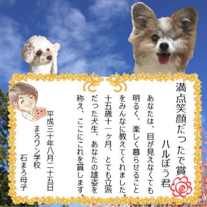 03c02f49 8b61 4ea0 abaf 8e2003496eb3 1535341135723