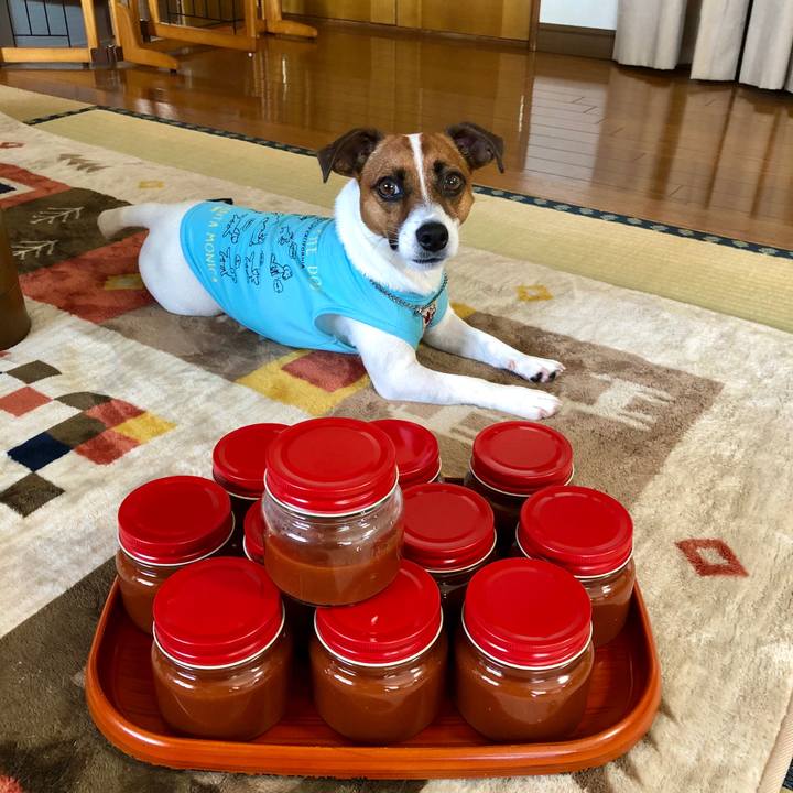 03c041e5 b7ce 42fd 8932 f3f5e6891d68 1597796093571