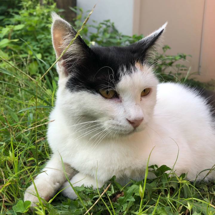 03c04922 636d 45f2 8b4f 968712fd2f97 1599516978529