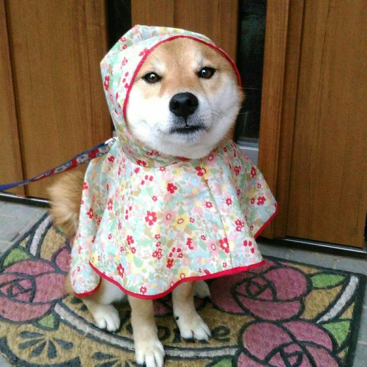 03c04ebc e211 4a43 ac8d 65ffd2748c0c 1521188498884