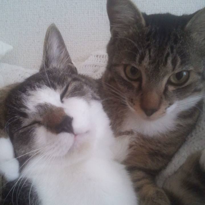 03c05acf 162e 4391 b859 9d11f9fb4832 1615548278421