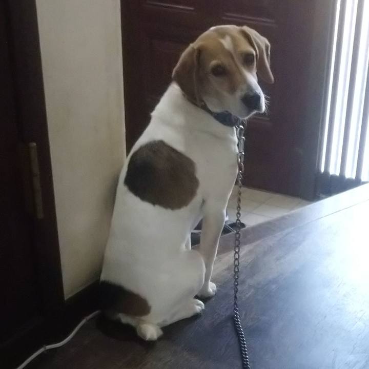 03c08972 4602 4aec 8506 4d80c1fda26d 1612338556741