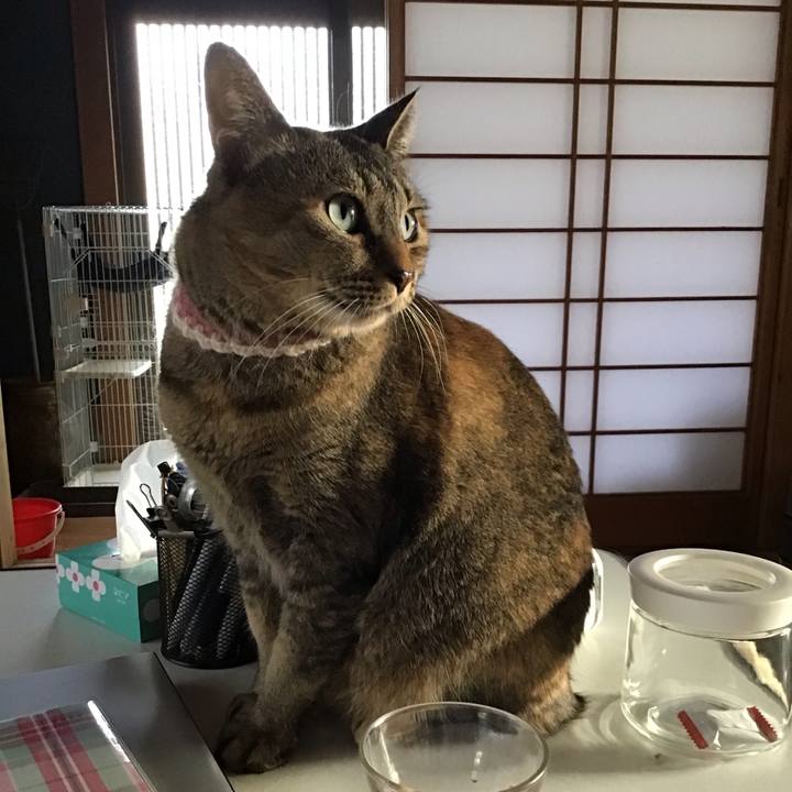 03c09db2 974a 4ef9 98ef a8901e60017d 1712822734648