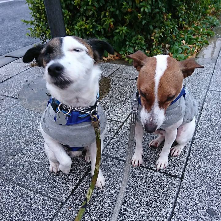 03c0b898 f251 49aa b026 350372bb1d92 1579042750207