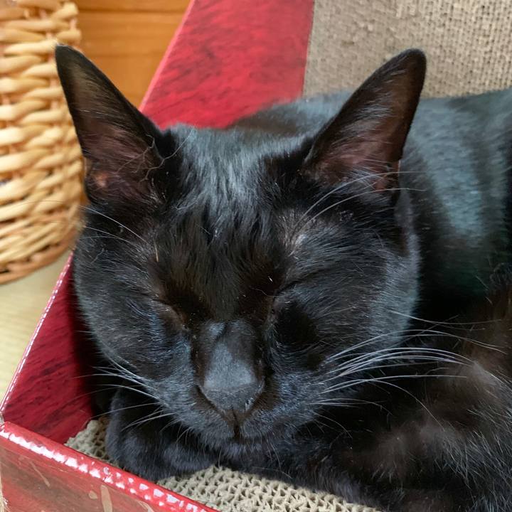 03c0c03c 7cd7 4a35 9ac0 ffe74744bd34 1562389446577