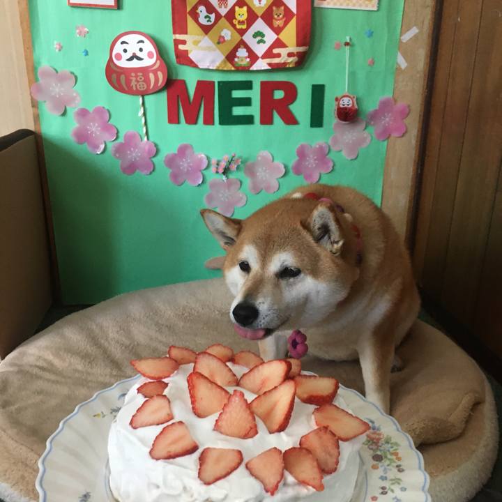 03c0c159 1c9f 4672 8db9 e39fae517934 1646539714456