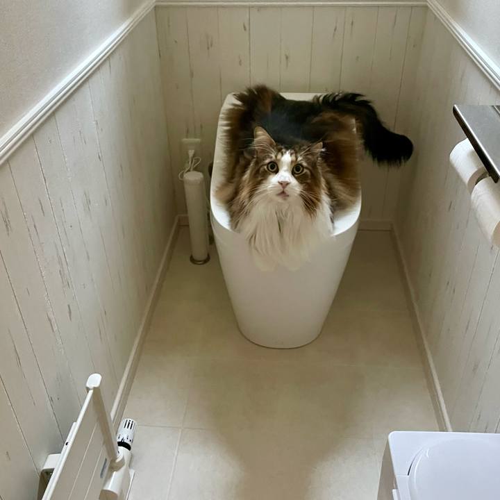 03c0c643 a5e5 4e16 9cd9 43131f707b3b 1748899937710