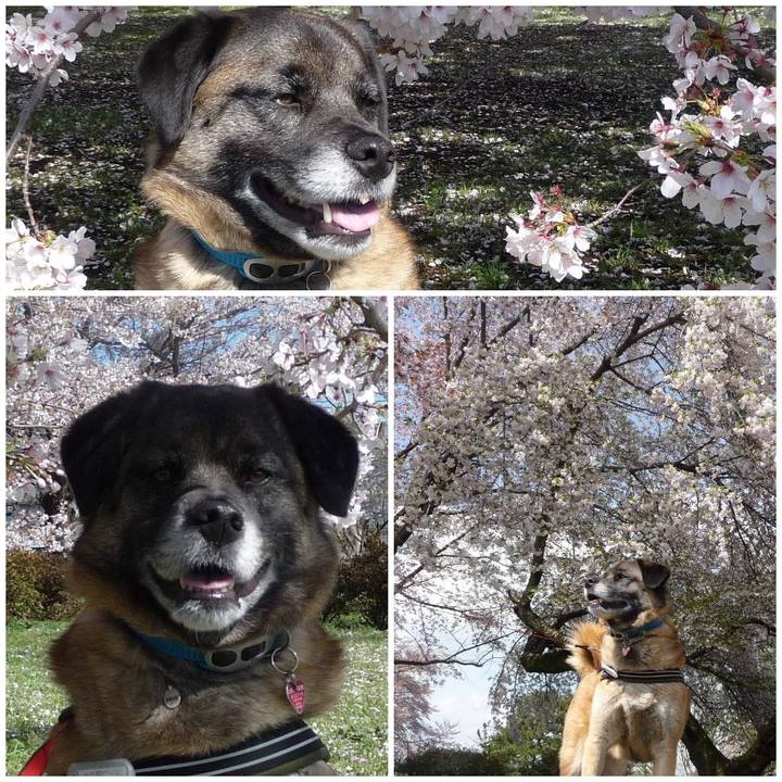 03c0d0ff 000d 4550 85fb c6d5f83a481d 1577924729824