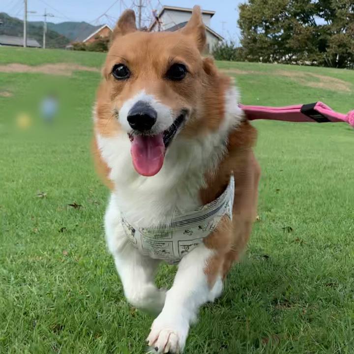 03c0dd86 afee 4bfc a5f7 4de194815970 1696733471027