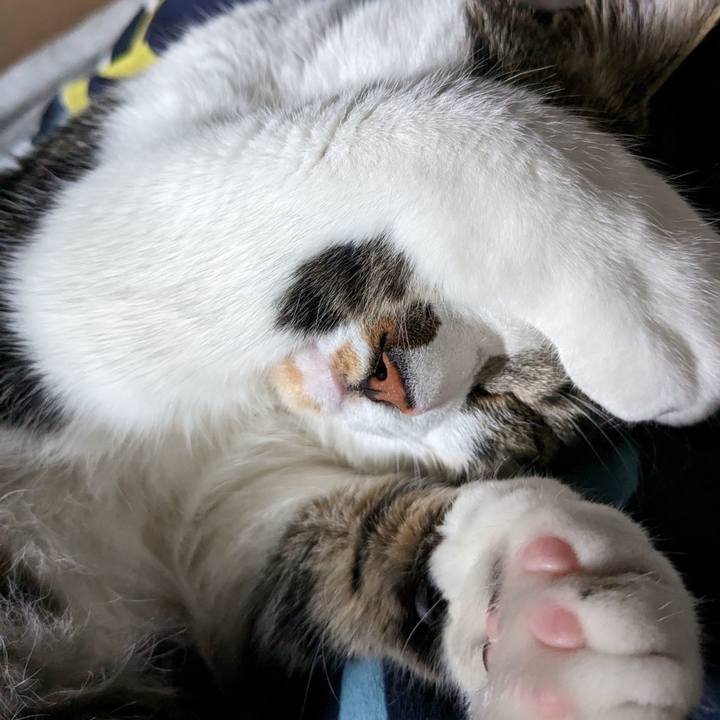 03c0e229 4a41 4858 a870 b74a95054e60 1683282216942