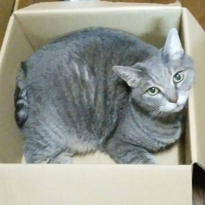 03c0e846 8ed2 44f3 be94 524a2b4bf02c 1539257646986