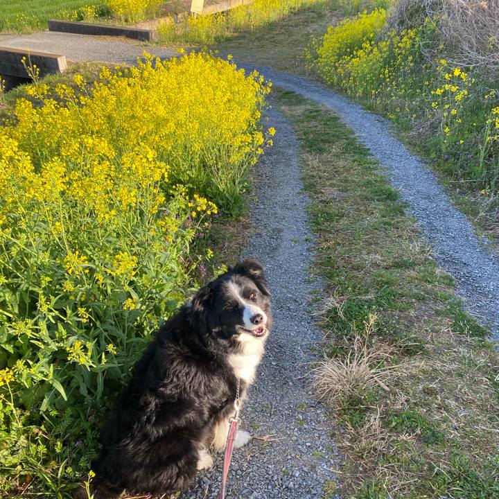 03c0f0b9 a24c 4cd4 b04f 96230bf7a61e 1647300588474