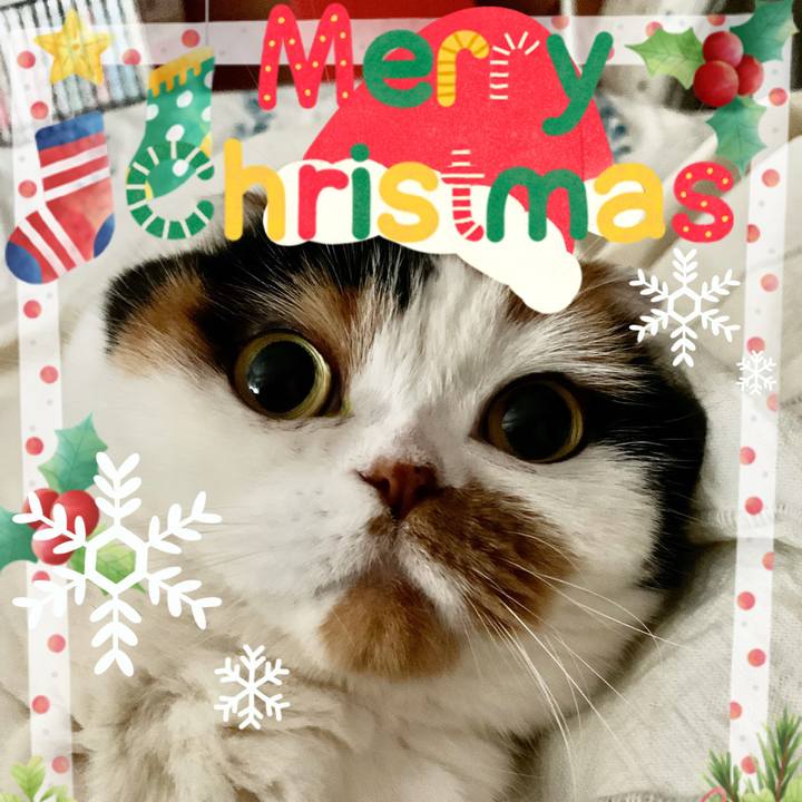 03c1088d 5882 4eff b6f7 387a049f7f8f 1577201241846