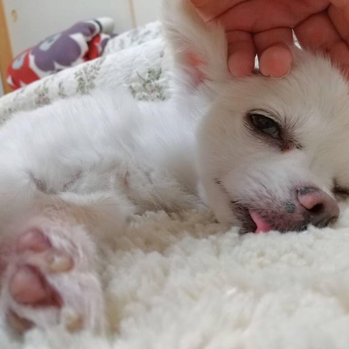 03c10b7f 11e9 4b04 8523 5eee12bd0e94 1593428677956