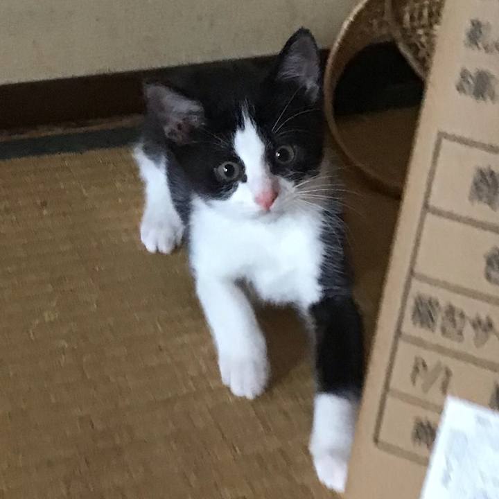 03c11eb3 fe5f 4a7f 988b a815bb6ed282 1625107968368