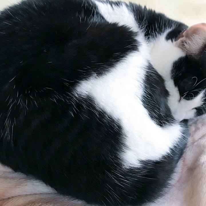 03c129d3 7add 4a4e 88fe ddc1fbf8255f 1514246287826