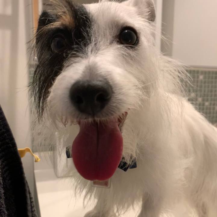 03c14e9b 581e 4e76 80a8 48a24897d64b 1664007096646