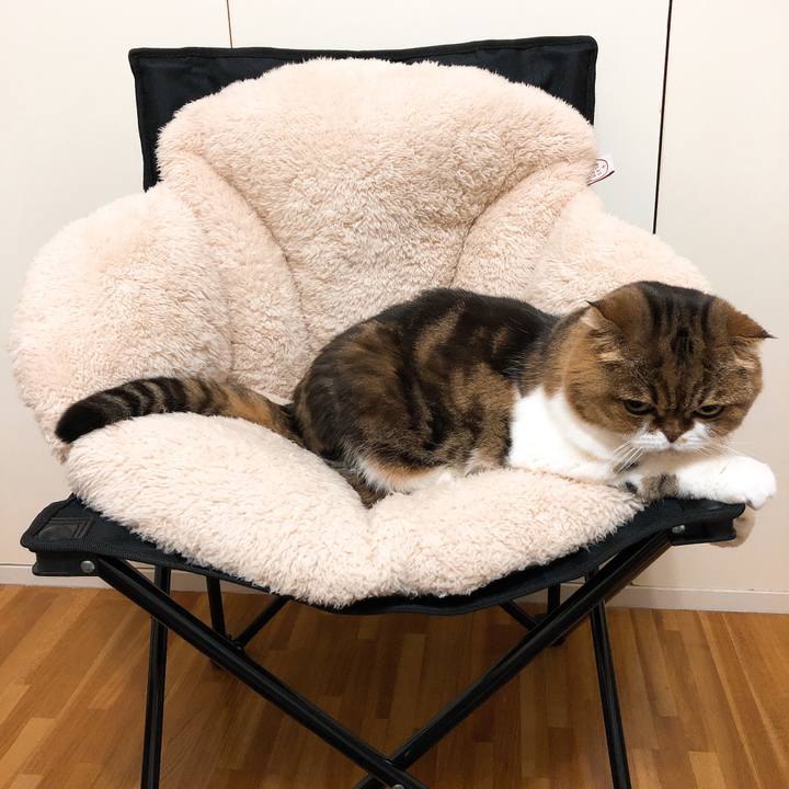 03c19c5e 5052 43cd 8a16 6b2e2d3144bf 1544701134959