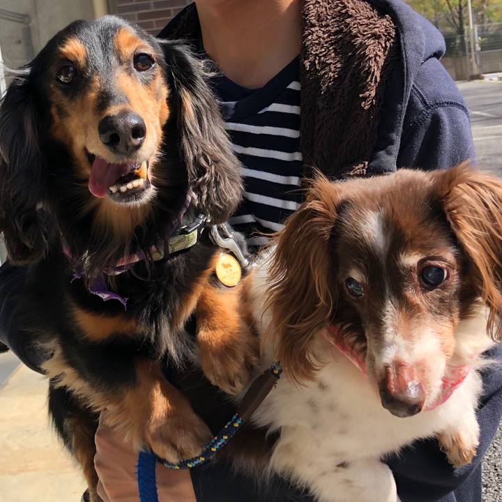 03c235f9 57b3 4031 8331 91cca60bddb2 1554540170084