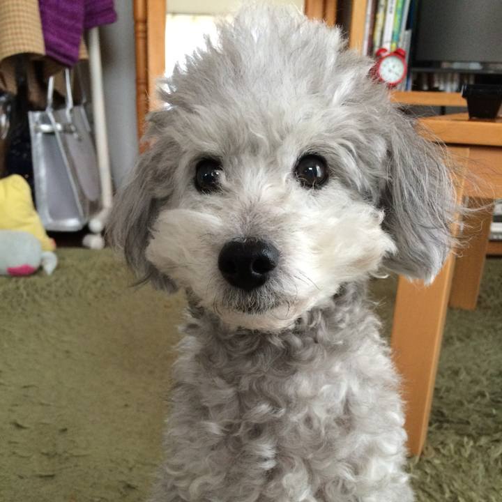 03c23891 1f9c 4021 bf39 7b77dd050e10 1739319778511