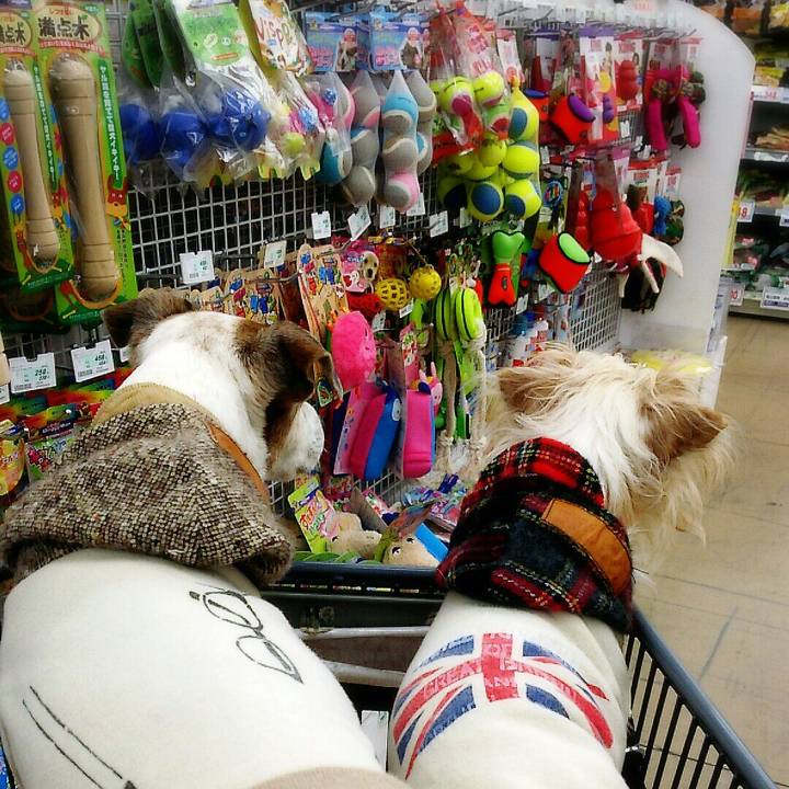 03c25743 3221 45bb 992e 7d80a18e1704 1519557046380