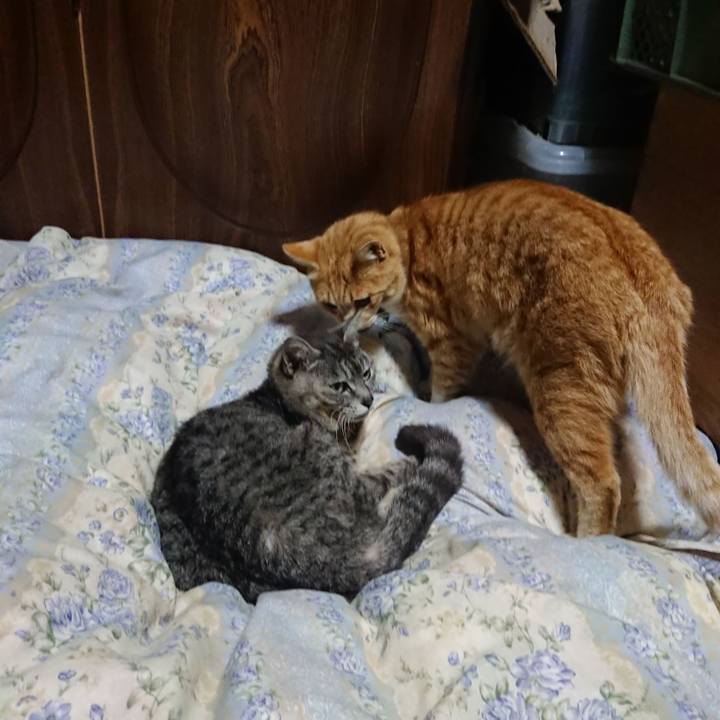 03c26e8b 976b 400b 8971 0d8eeccab983 1587815087671