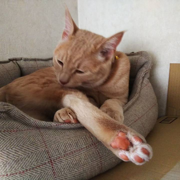 03c2749b f42d 487d 9730 616fc35ceaed 1553161863632