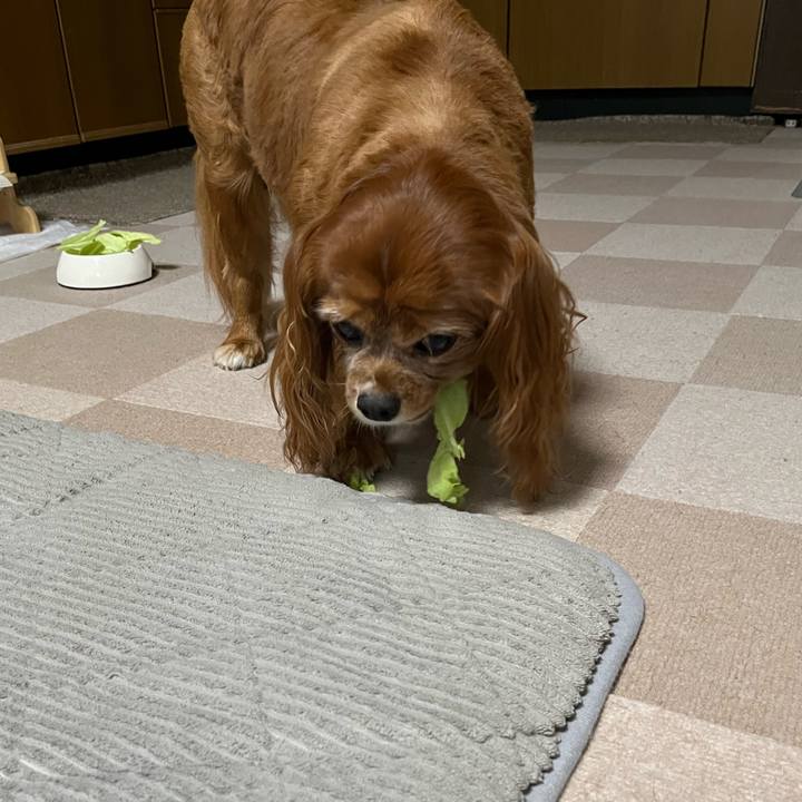 03c2c081 a299 431c 964a 03ebd71bb880 1723068578407