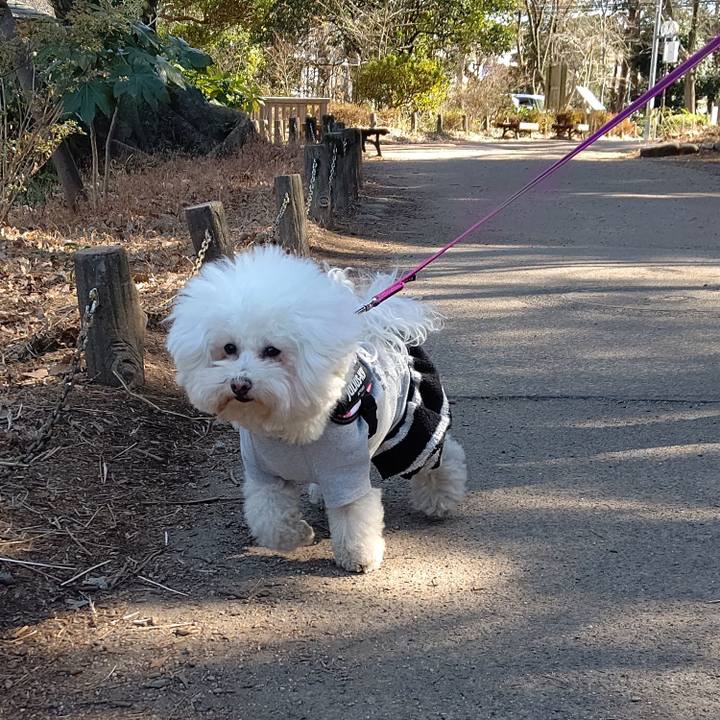 03c2c46f e5ca 4654 87a6 2cbe4d3de4f3 1738310609983