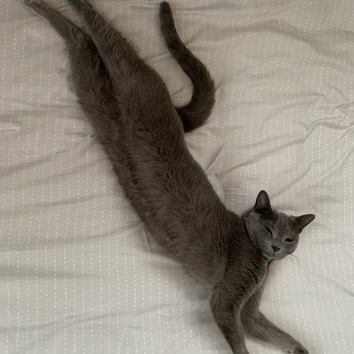 03c30b03 d774 4d85 bec1 a736d078e8e1 1624628174829