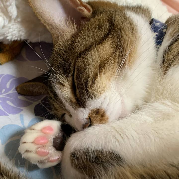 03c3542f c5d0 4ad8 8b02 431a0d02ca37 1609767277937