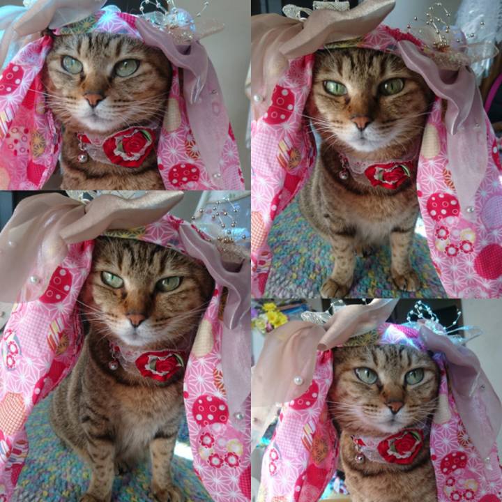 03c35714 38ae 42b4 a347 91f55ff5c31c 1766790038081