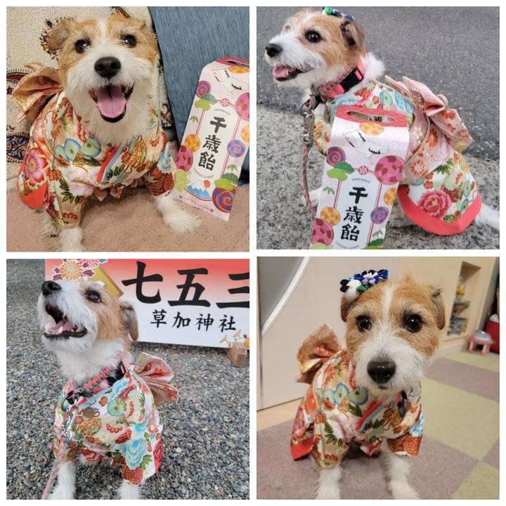 03c363e9 bda7 483f 9d10 925a163d1d80 1700136533632