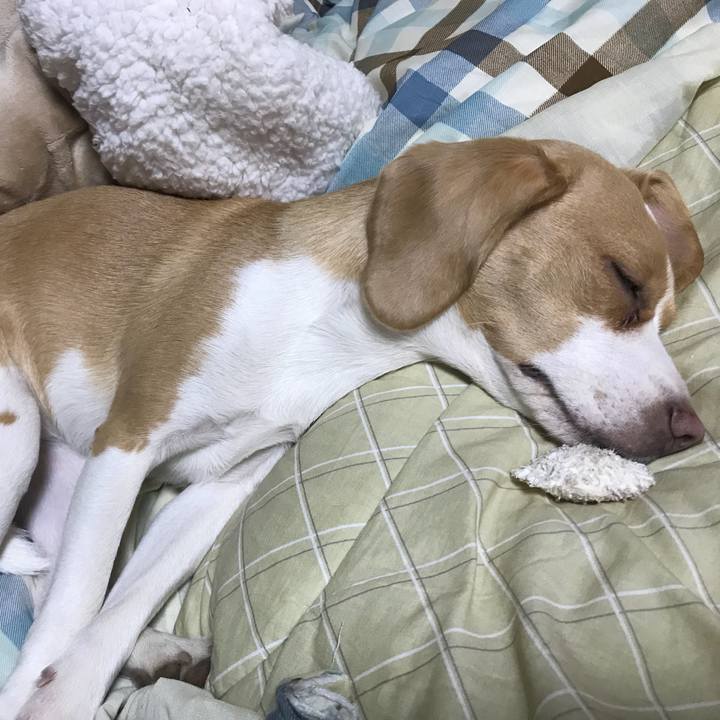 03c3661a 39b4 4271 91ae d60332fda117 1519562287987