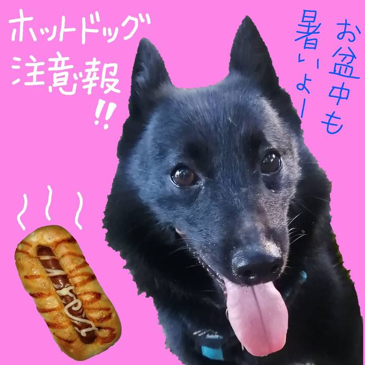 03c36c96 ef9c 4879 8e9b fe550d9a9eb2 1660393847263