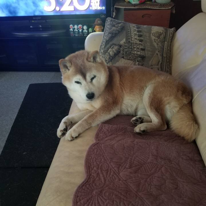 03c37b17 4529 4347 a0c9 bc353d7dd794 1742165963961