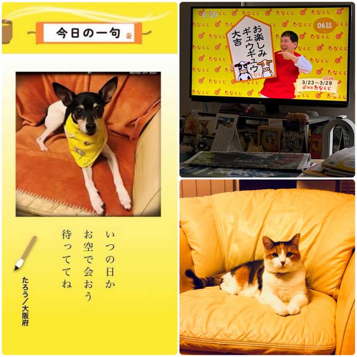 03c3b596 1da6 4819 95db 99486084cd64 1774218111581