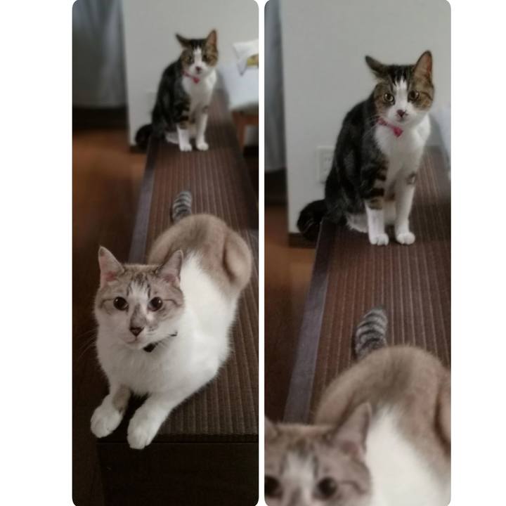 03c3bb5f 8464 45b8 9610 0bbfb408ebe1 1532939211415