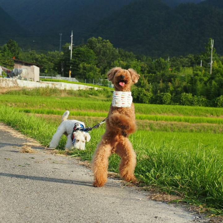 03c3bb7f 5a46 496d b095 53062af1628d 1532176028392