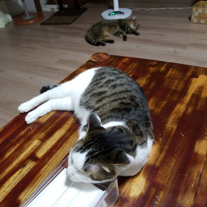 03c3cd9f c14d 41cc a92a abce708a8959 1568723765682