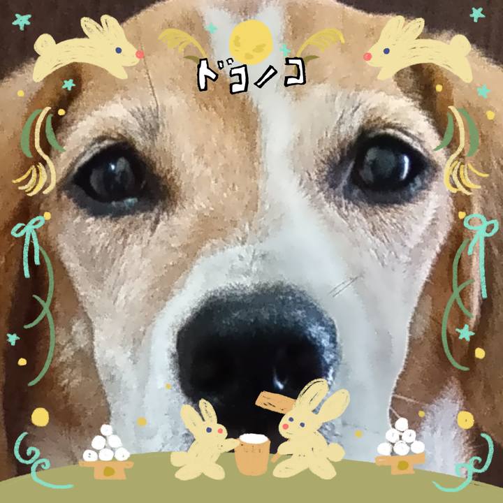 03c3cf2d 7aee 4a72 ac1b 61027a0a1b6f 1727013613832