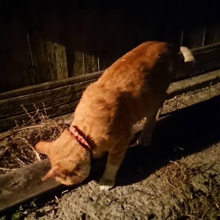 03c3dfc6 20be 4f3e a143 e957ecccf72f 1563278608915